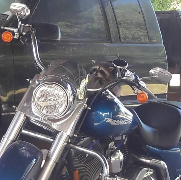 daily picdump 100 pics 38.html - 100 HD Photos | Premium Gallery 2018