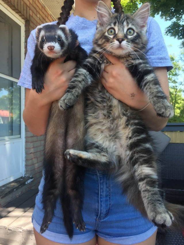 daily picdump 100 pics 38.html - 100 HD Photos | Premium Gallery 2018