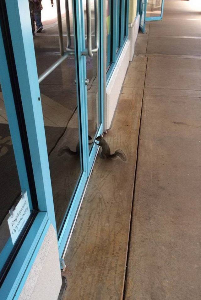 daily picdump 100 pics 38.html - 100 HD Photos | Premium Gallery 2018