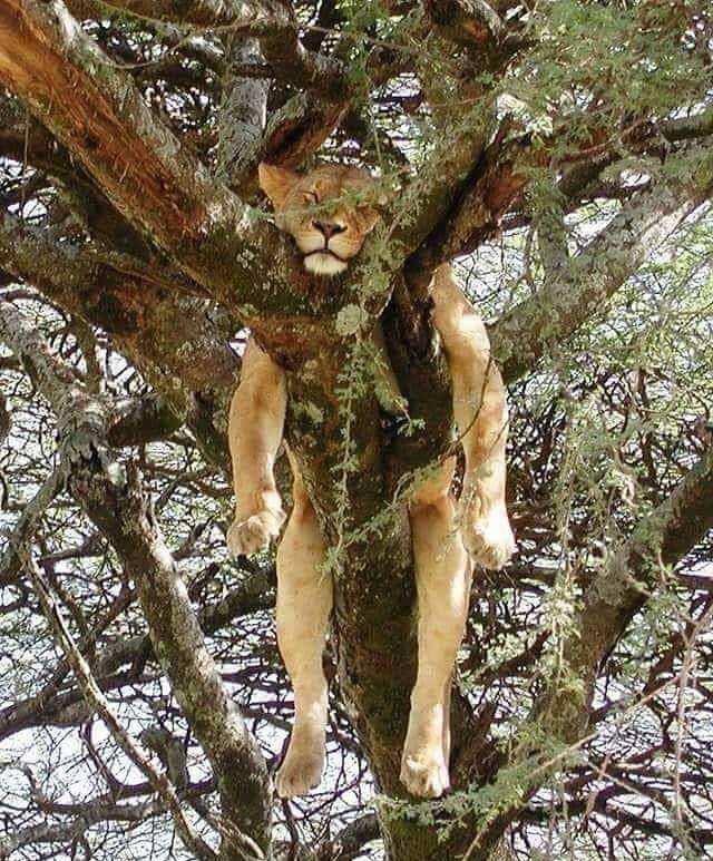 daily picdump 100 pics 38.html - 100 HD Photos | Premium Gallery 2018