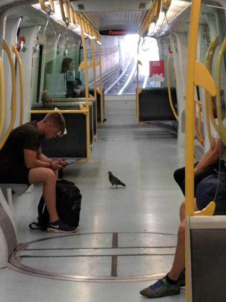 daily picdump weekend edition 52 pics 9.html - 52 HD Photos | Premium Gallery 2018