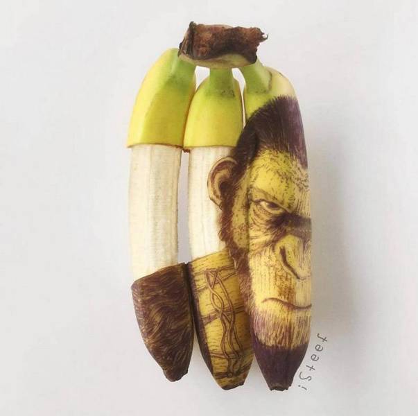 daily picdump weekend edition 52 pics 9.html - 52 HD Photos | Premium Gallery 2018