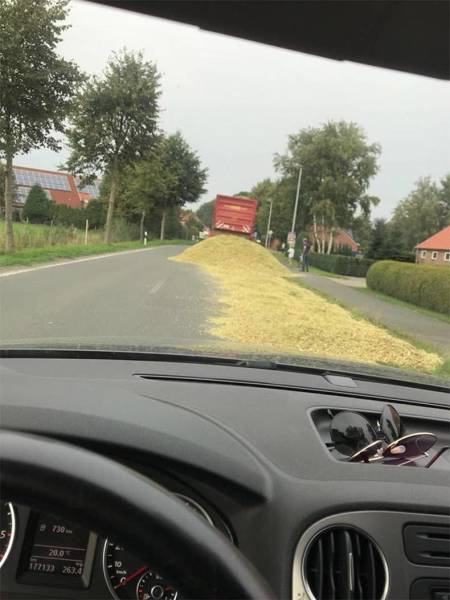 daily picdump weekend edition 52 pics 9.html - 52 HD Photos | Premium Gallery 2018