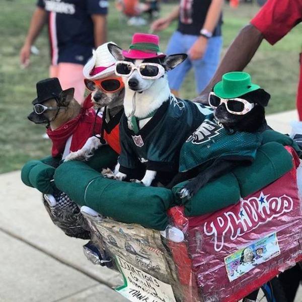 daily picdump 94 pics 6.html - 94 HD Photos | Premium Gallery 2018