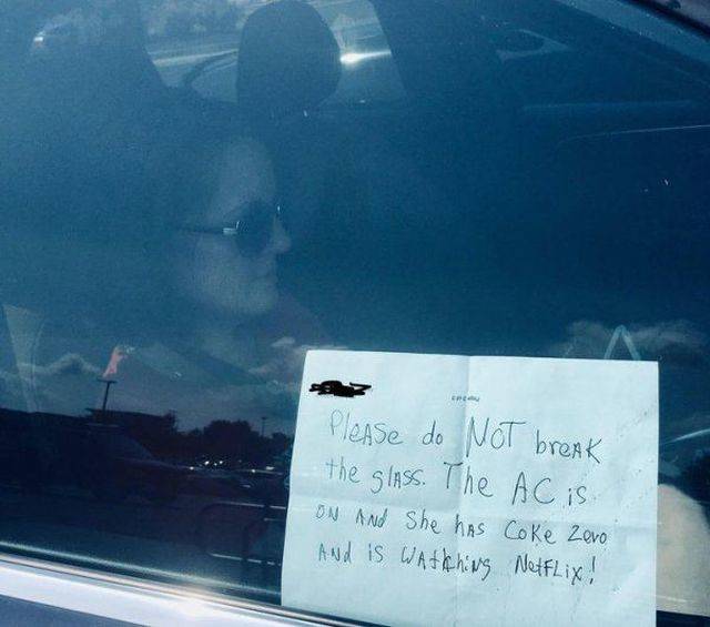 daily picdump 94 pics 6.html - 94 HD Photos | Premium Gallery 2018