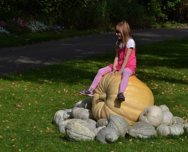 daily picdump 94 pics 6.html - 94 HD Photos | Premium Gallery 2018