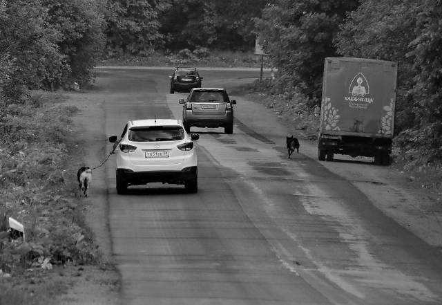 daily picdump 94 pics 6.html - 94 HD Photos | Premium Gallery 2018