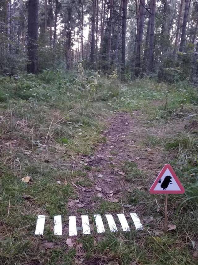 daily picdump 94 pics 6.html - 94 HD Photos | Premium Gallery 2018