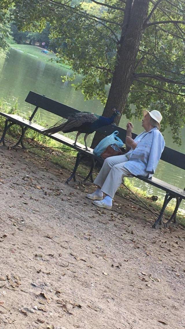 daily picdump 94 pics 6.html - 94 HD Photos | Premium Gallery 2018