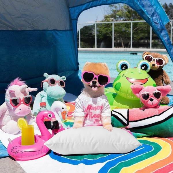 daily picdump 94 pics 15.html - 94 HD Photos | Premium Gallery 2018