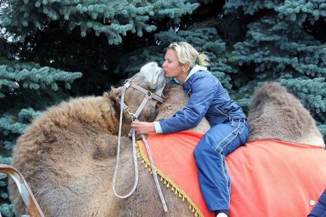 daily picdump 94 pics 15.html - 94 HD Photos | Premium Gallery 2018