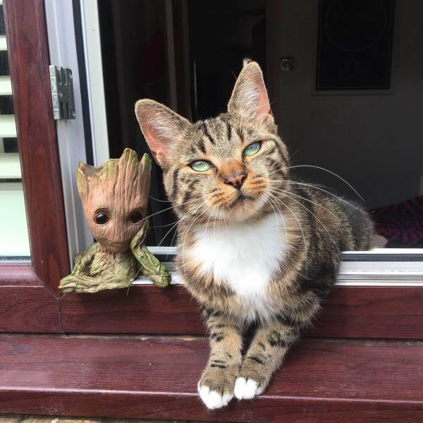 daily picdump 94 pics 15.html - 94 HD Photos | Premium Gallery 2018