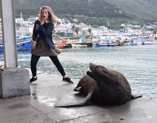 daily picdump 94 pics 15.html - 94 HD Photos | Premium Gallery 2018