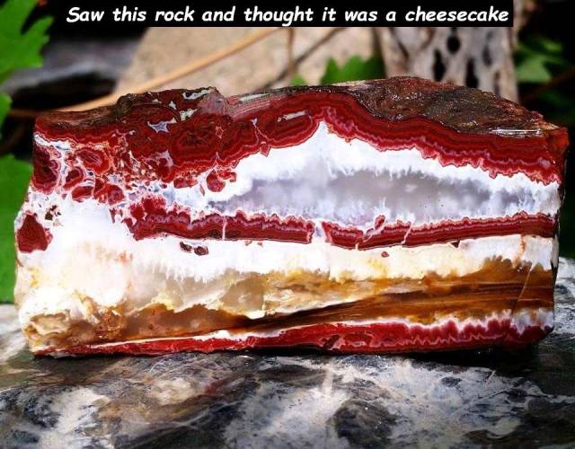 daily picdump 94 pics 15.html - 94 HD Photos | Premium Gallery 2018