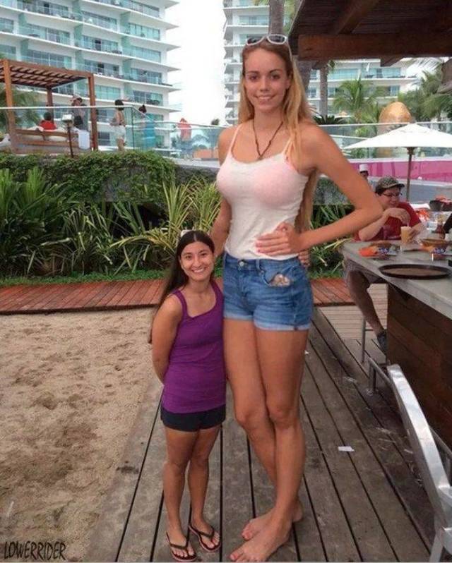 daily picdump 94 pics 15.html - 94 HD Photos | Premium Gallery 2018