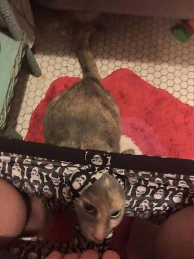 daily picdump 94 pics 15.html - 94 HD Photos | Premium Gallery 2018