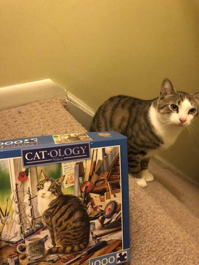 daily picdump 94 pics 15.html - 94 HD Photos | Premium Gallery 2018