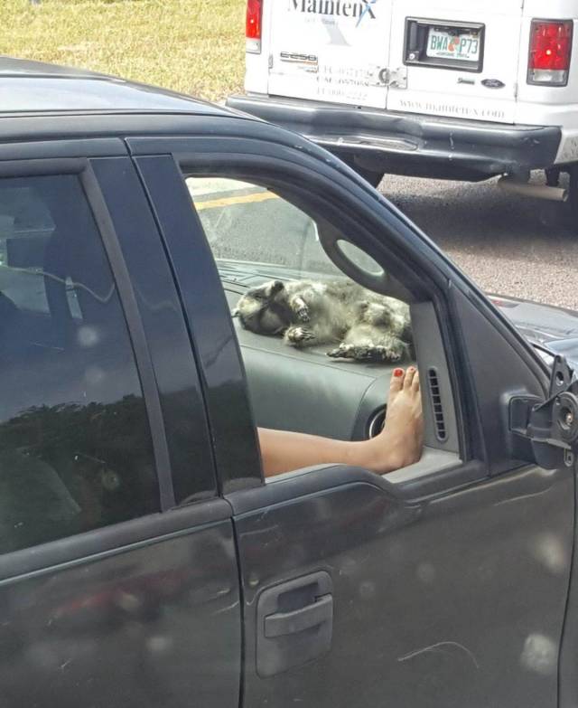 daily picdump 94 pics 15.html - 94 HD Photos | Premium Gallery 2018