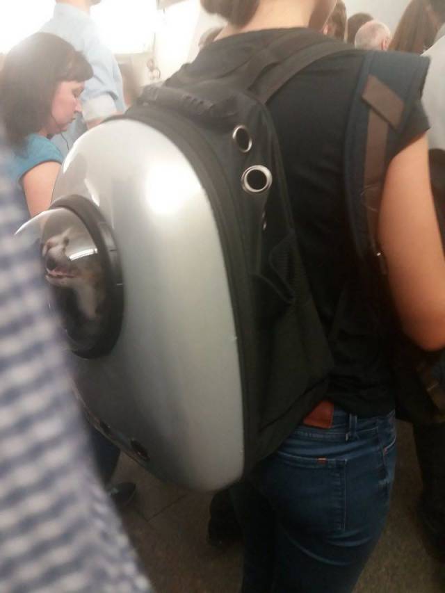 daily picdump 94 pics 15.html - 94 HD Photos | Premium Gallery 2018