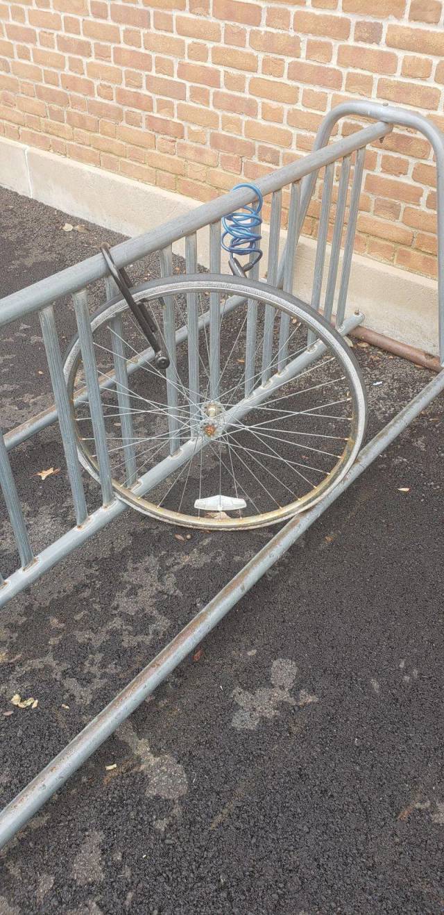 daily picdump 94 pics 15.html - 94 HD Photos | Premium Gallery 2018