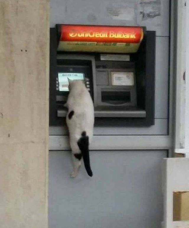 Hard-to-explain WTF Photos