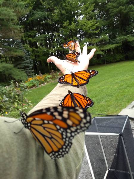 morning picdump 53 pics 22.html - 53 HD Photos | Premium Gallery 2018