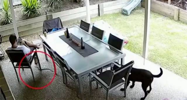Daily Picdump