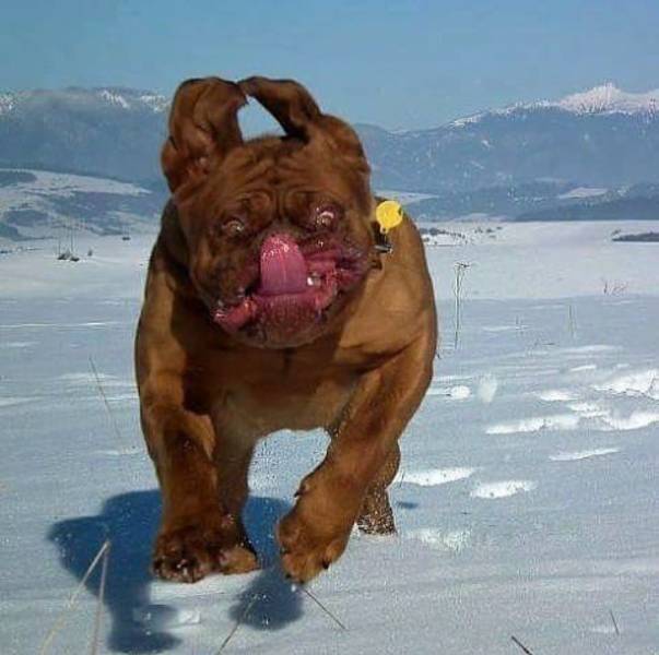 daily picdump 95 pics 2.html - 95 HD Photos | Premium Gallery 2018