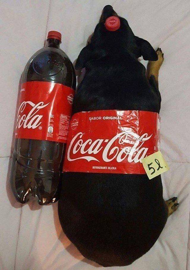daily picdump 95 pics 2.html - 95 HD Photos | Premium Gallery 2018