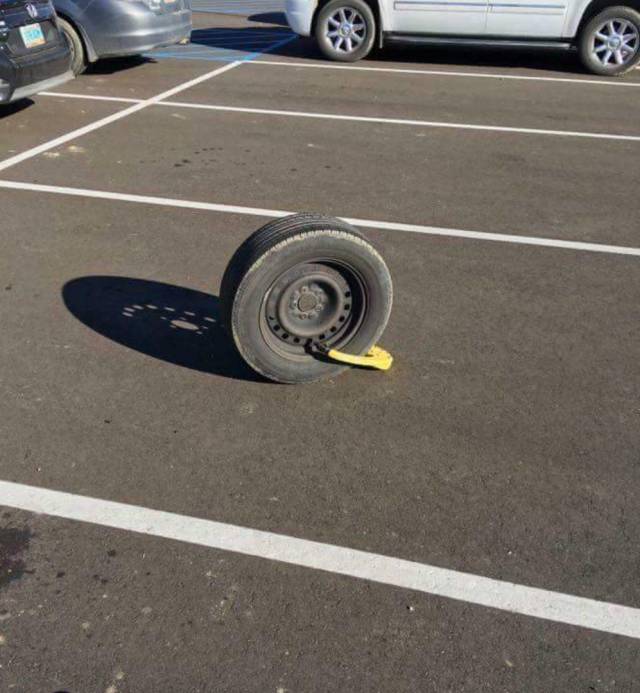 daily picdump 95 pics 2.html - 95 HD Photos | Premium Gallery 2018