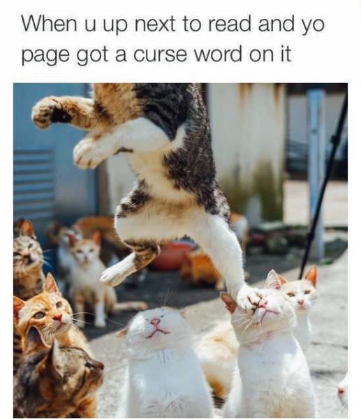 Funny Picdump