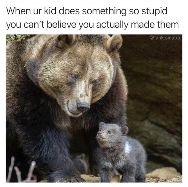 funny picdump 52 pics 25.html - 52 HD Photos | Premium Gallery 2018
