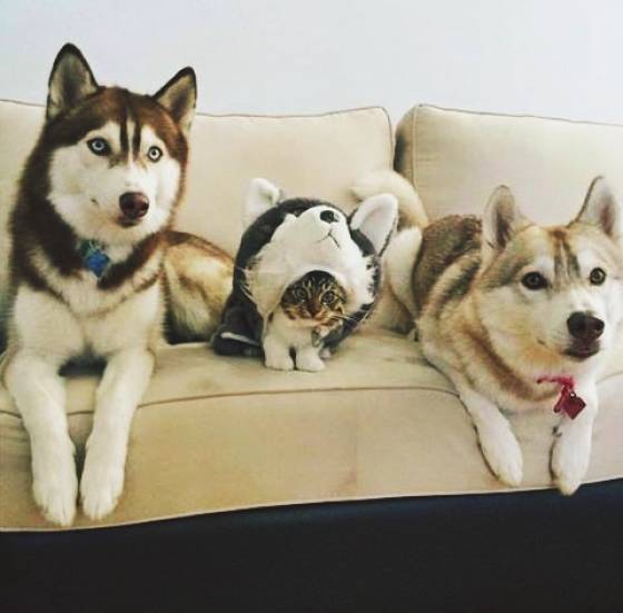 morning picdump 52 pics 12.html - 52 HD Photos | Premium Gallery 2018