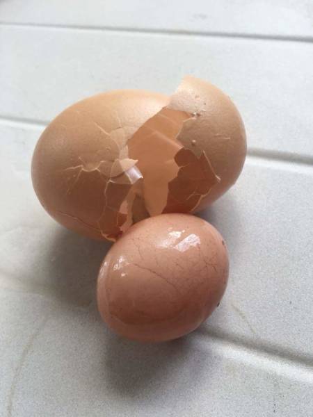 morning picdump 52 pics 12.html - 52 HD Photos | Premium Gallery 2018