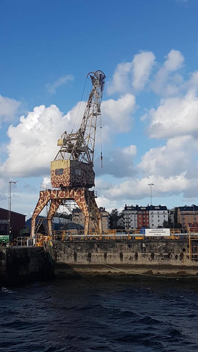 morning picdump 52 pics 12.html - 52 HD Photos | Premium Gallery 2018