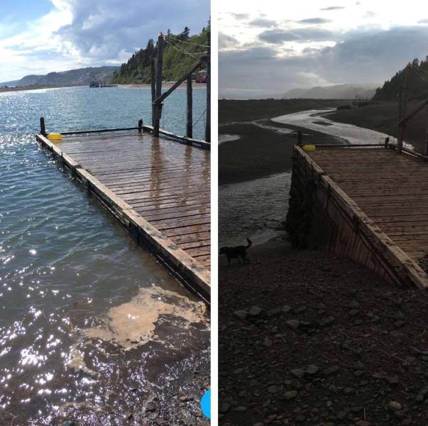 daily picdump 96 pics 42.html - 96 HD Photos | Premium Gallery 2018