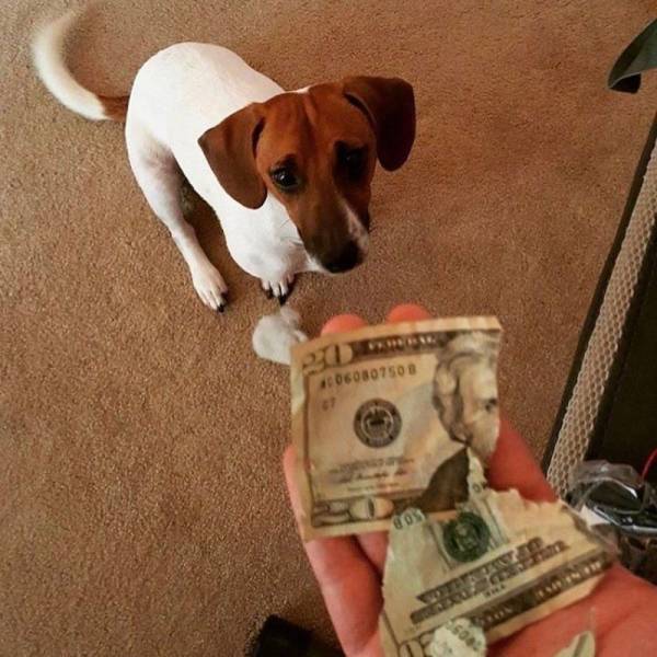 daily picdump 96 pics 42.html - 96 HD Photos | Premium Gallery 2018