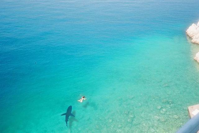 daily picdump 96 pics 42.html - 96 HD Photos | Premium Gallery 2018