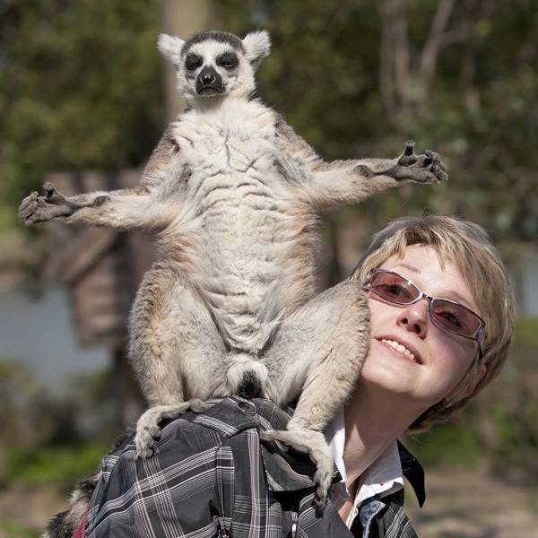 daily picdump 96 pics 42.html - 96 HD Photos | Premium Gallery 2018