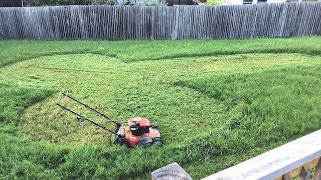 daily picdump 96 pics 42.html - 96 HD Photos | Premium Gallery 2018