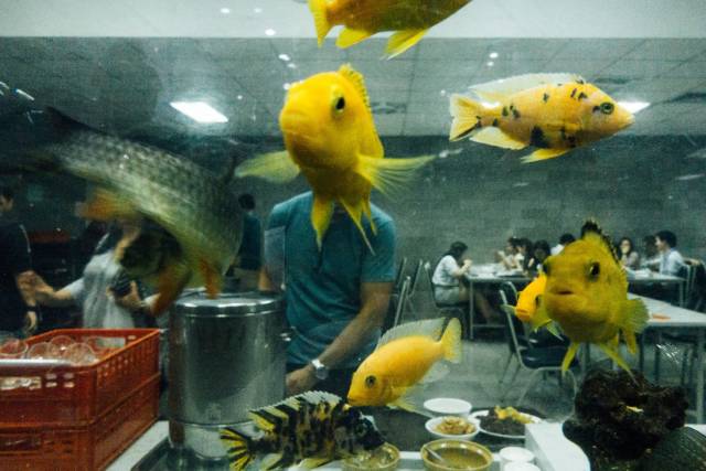 daily picdump 96 pics 42.html - 96 HD Photos | Premium Gallery 2018