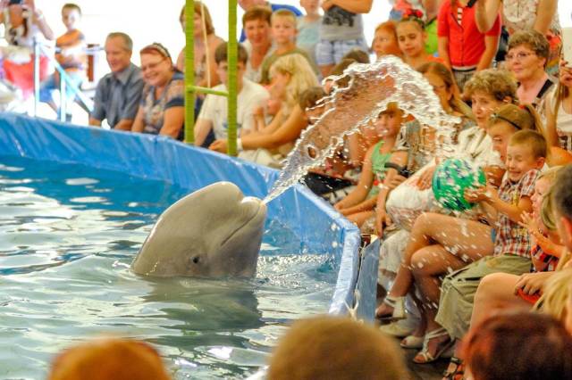 daily picdump 96 pics 42.html - 96 HD Photos | Premium Gallery 2018