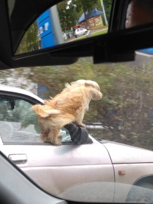 daily picdump 96 pics 42.html - 96 HD Photos | Premium Gallery 2018