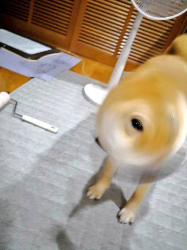 daily picdump 96 pics 42.html - 96 HD Photos | Premium Gallery 2018