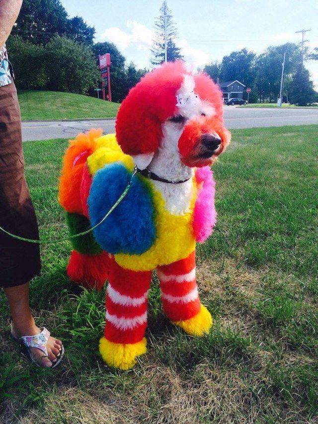 daily picdump 96 pics 42.html - 96 HD Photos | Premium Gallery 2018