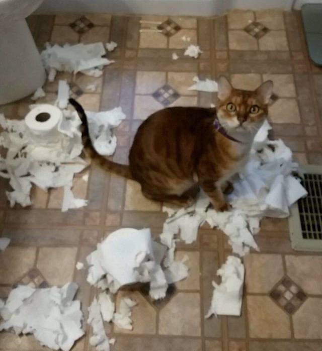 daily picdump 96 pics 42.html - 96 HD Photos | Premium Gallery 2018