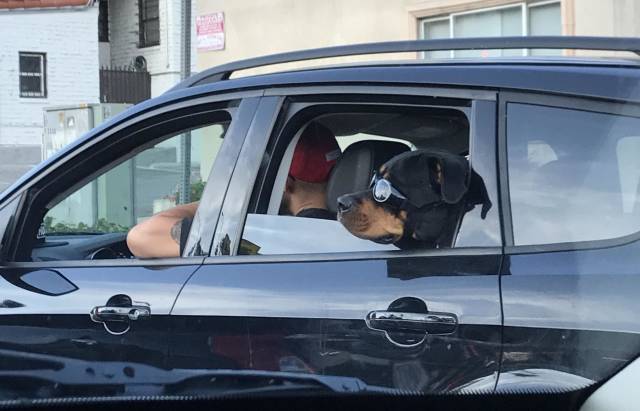 morning picdump 50 pics 12.html - 50 HD Photos | Premium Gallery 2018