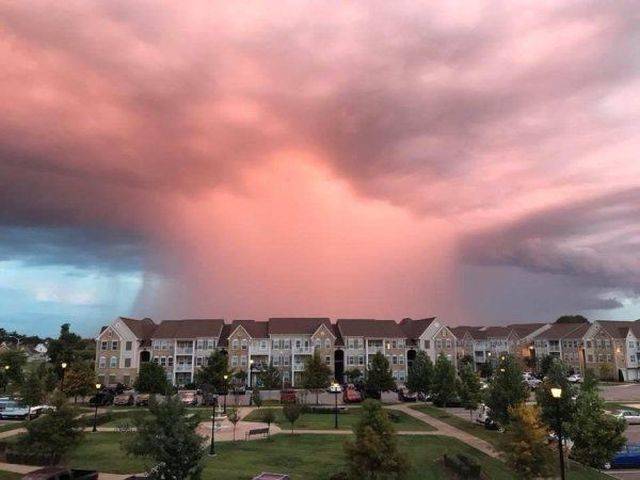 daily picdump weekend edition 61 pics 5.html - 61 HD Photos | Premium Gallery 2018