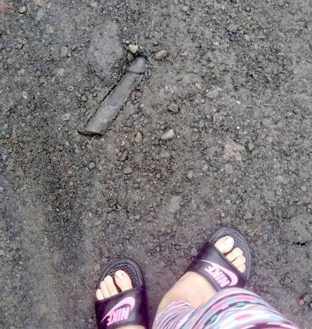 daily picdump weekend edition 61 pics 5.html - 61 HD Photos | Premium Gallery 2018