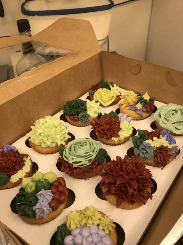 daily picdump weekend edition 61 pics 5.html - 61 HD Photos | Premium Gallery 2018